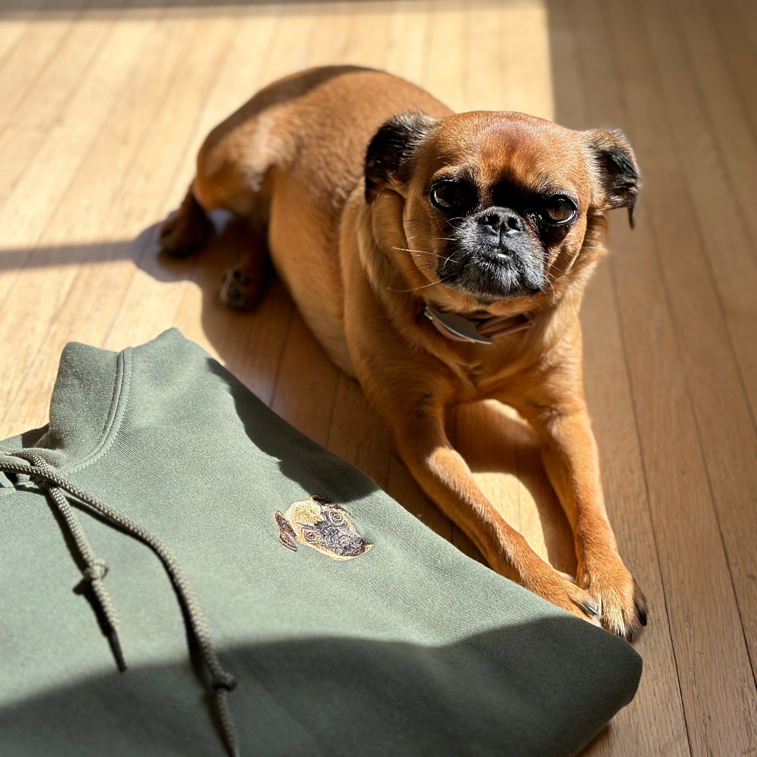 Personalized Pet Embroidered Hoodie for Extra Warmth and Style